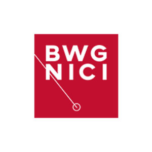 Belgian Working Group on Non-Invasive Cardiac Imaging (BWGNICI)