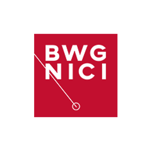 Belgian Working Group on Non-Invasive Cardiac Imaging (BWGNICI)